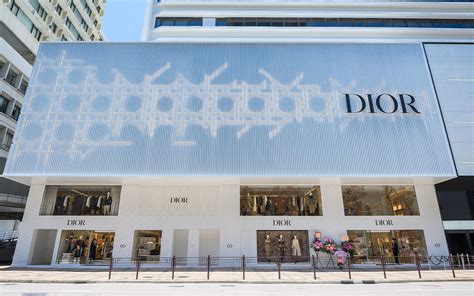 dior hk|dior online store.